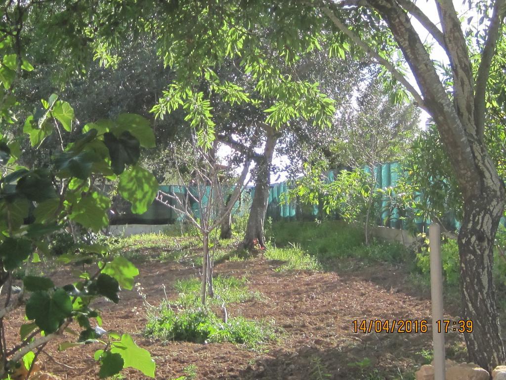 Quinta Da Fonte Em Moncarapacho Hotel ภายนอก รูปภาพ